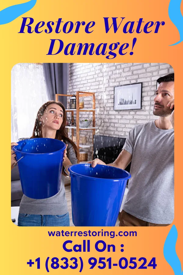 water restoration Modern Disaster Cleanup LLC Viking