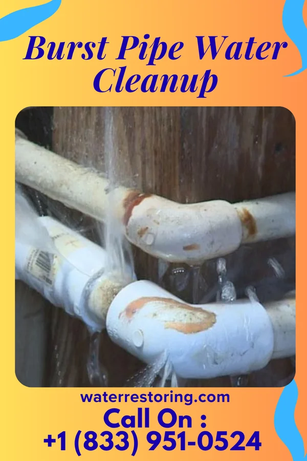 Burst Pipe Water Cleanup in Viking, MN