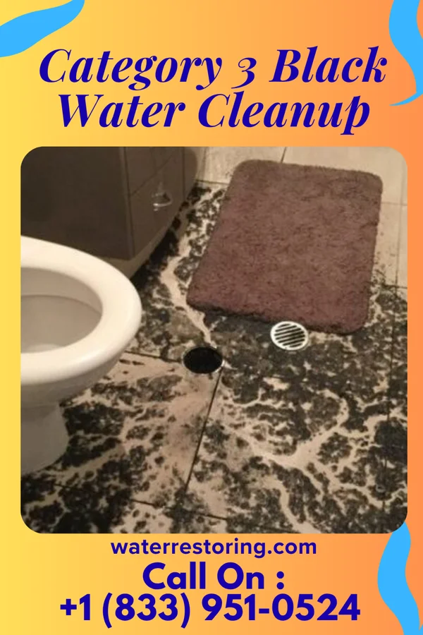 Category 3 Black Water Cleanup in Viking, MN