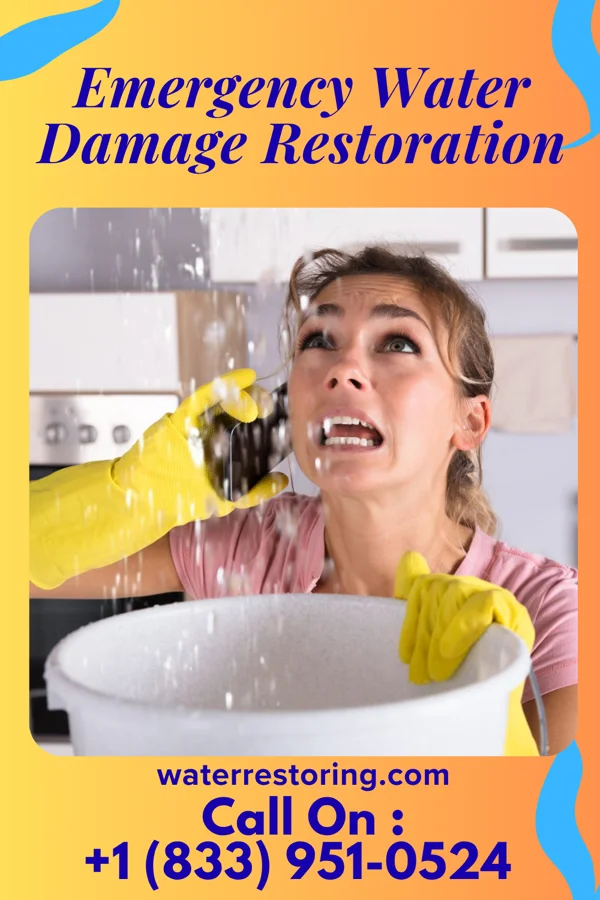 Emergency Water Damage Restoration in Viking, MN