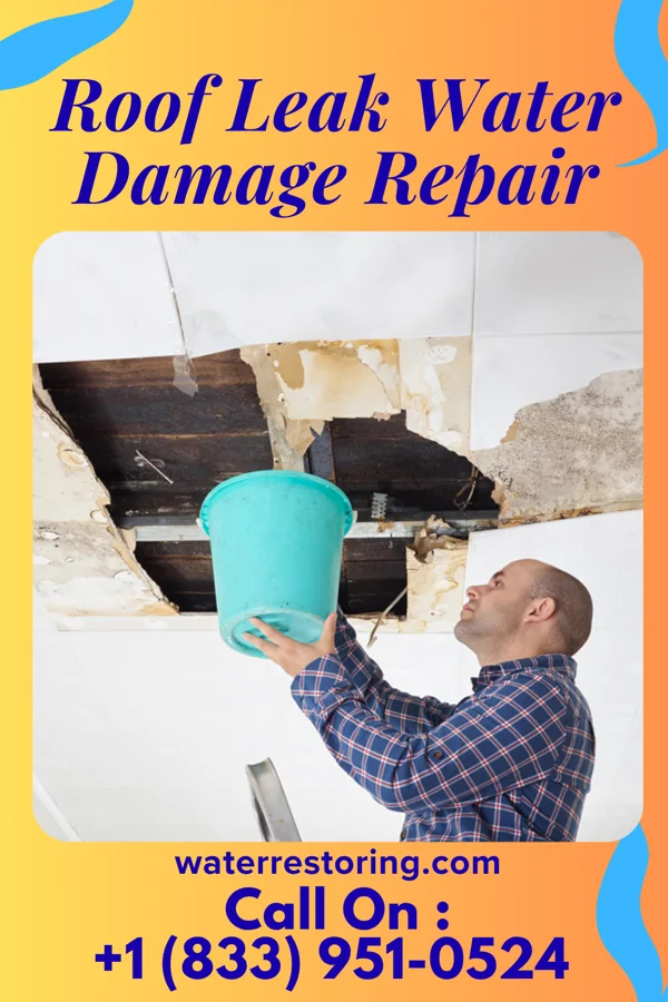 Roof Leak Water Damage Repair in Viking, MN