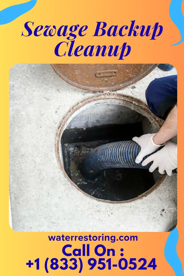 Sewage Backup Cleanup in Viking, MN
